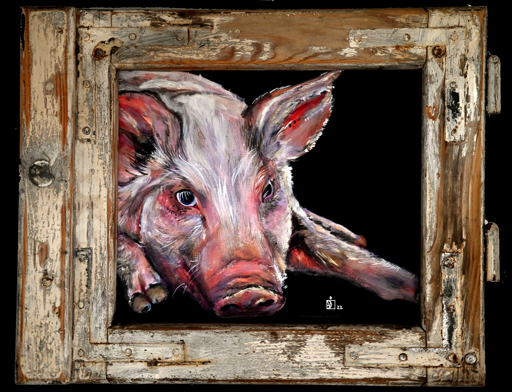 Ein Blick ins Schweinefenster – intelligentes Wesen mit Empathie und Charakter.