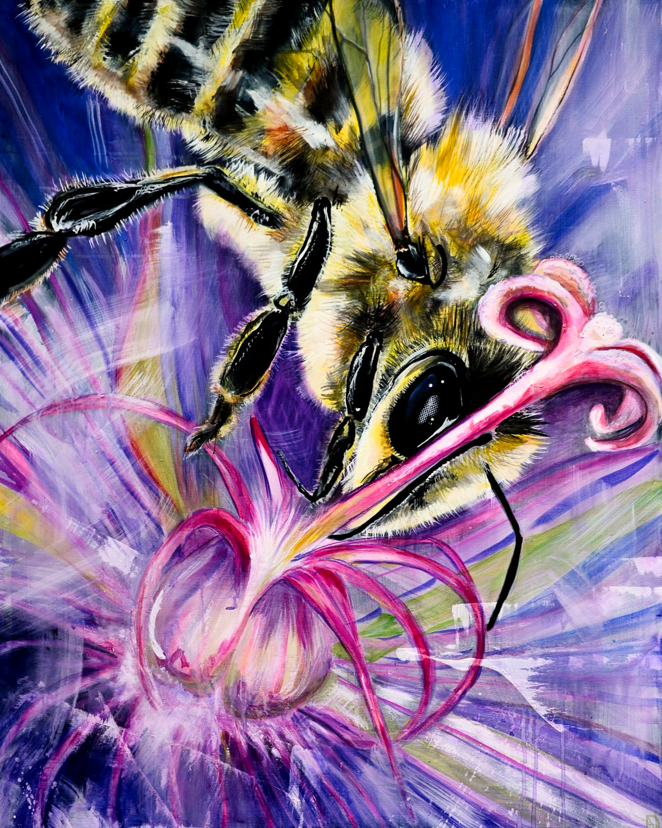 Formen, Farben und Bewegungen der Bienen und Hummeln faszinieren mich.