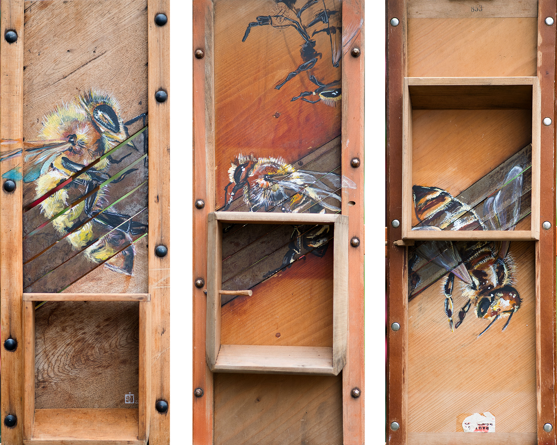 Drei Krautreiben – einst Werkzeug der Vorratskunst – wird zur Bühne für Bienen.