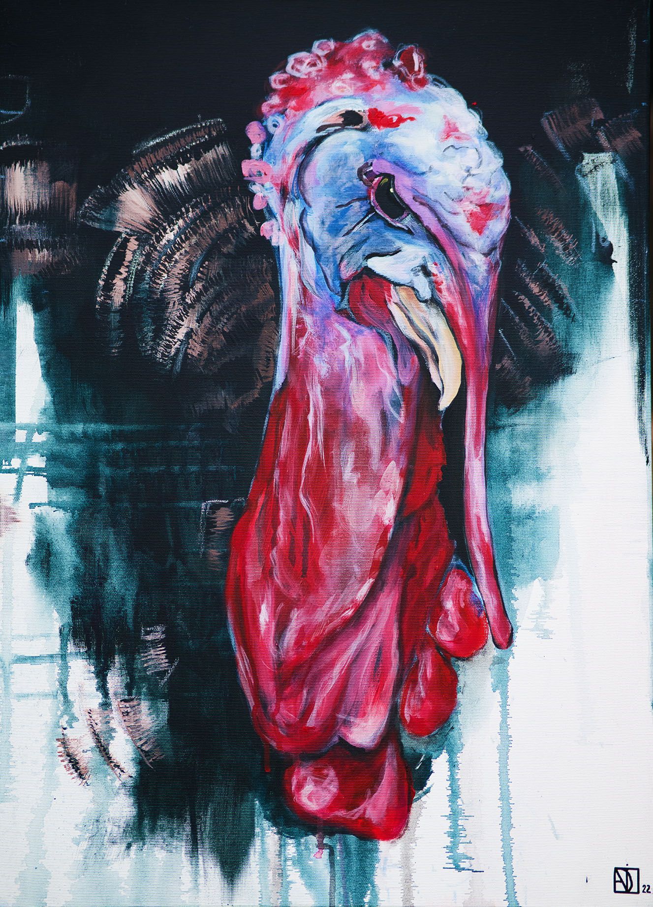 Bernhard: ch liebe die Struktur dieser Tiere – Falten, Federn, Formen voller Persönlichkeit.