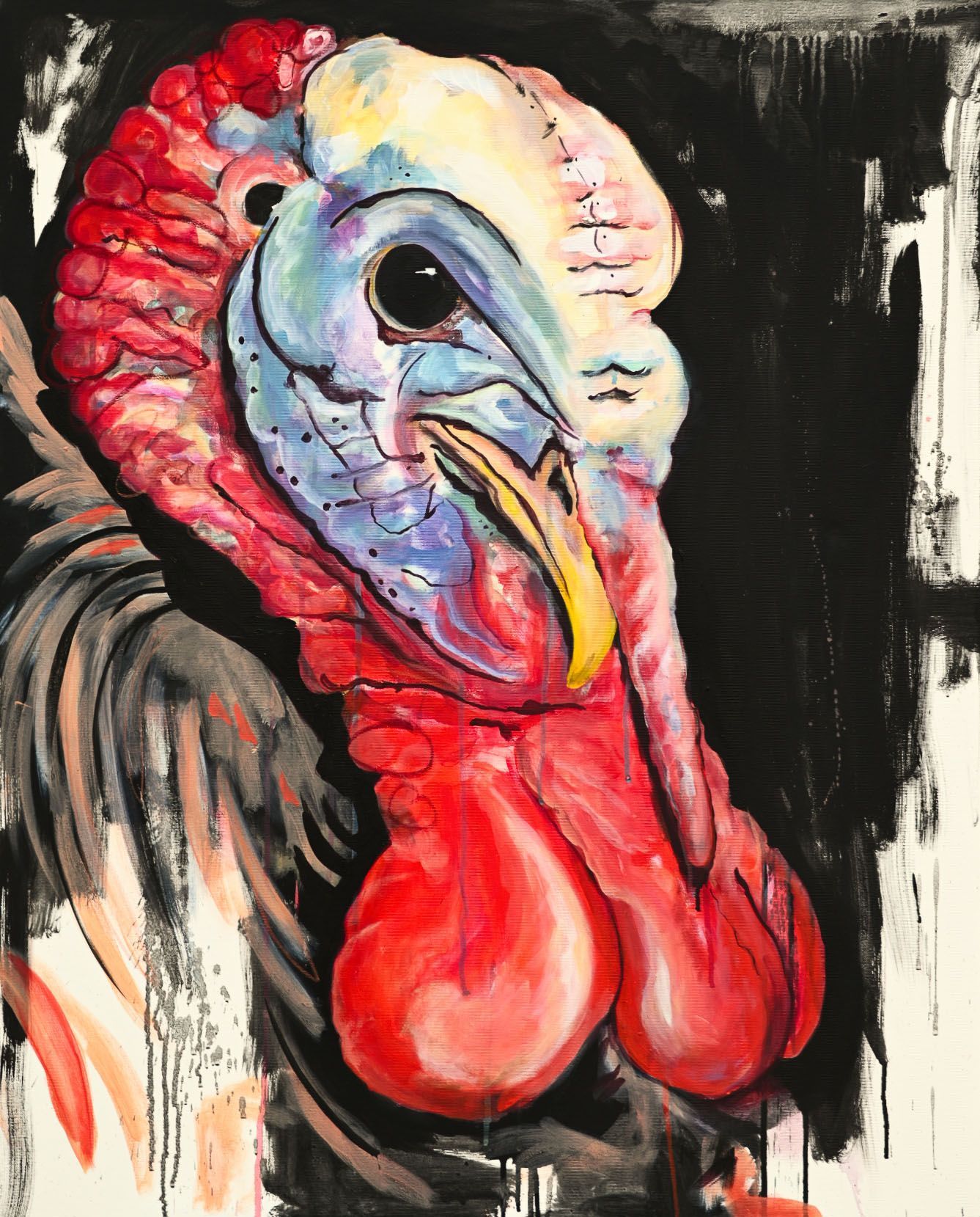 Harry: Stolz und eigenwillig – dieser Truthahn trägt seine Farben wie eine Krone.