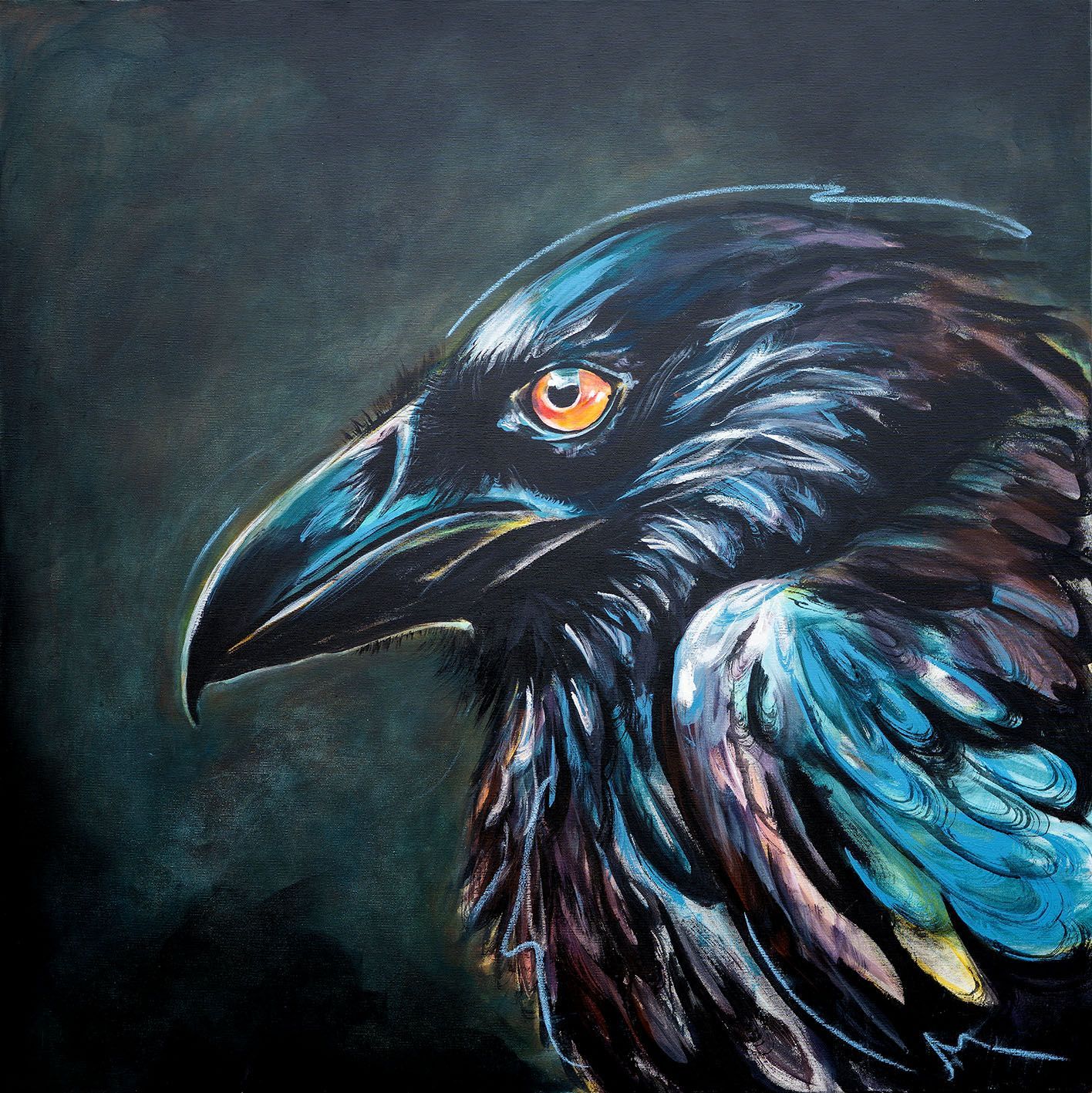 Rabe im Portrait von Danilea Heinki