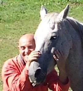 à bientôt les amis COMPRENDRE LES ANIMAUX