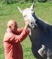 Résponsable EQUIZENCOACHING. Jean-Louis Depuis l'âge de 13 ans en contact avec les chevaux. C'est un disciple de MONTY Roberts américain de renommé internationnal dans la communication avec les chevaux appelé chuchoteur. Jean-Louis a été reponsable des ventes d'une filiale de France Télélcom. C'est aussi un scientifique qui a collaboré pendant plus de 15 ans avec un laboratoire pharmaceutique. Aprés avoir vécu un Burn-Out . Il a suivi le cursus complet de l'enneagramme, s'est formé au sophromagnétisme, aux fleurs de bach,à la PNL. Aujourd'hui il communique avec les chevaux et coach les particuliers et les manadgers Résponsable EQUIZENCOACHING. Jean-Louis Depuis l'âge de 13 ans en contact avec les chevaux. C'est un disciple de MONTY Robert américain de renommé internationnal dans la communication avec les chevaux appelé chuchoteur. Jean-Louis a été reponsable des ventes d'une filiale de France Télélcom. C'est aussi un scientifique qui a collaboré pendant plus de 15 ans avec un laboratoire pharmaceutique. Aprés avoir vécu un Burn-Out . Il a suivi le cursus complet de l'enneagramme, s'est formé au sophromagnétisme, aux fleurs de bach,à la PNL. Aujourd'hui il communique avec les chevaux et coach les particuliers et les manadgers