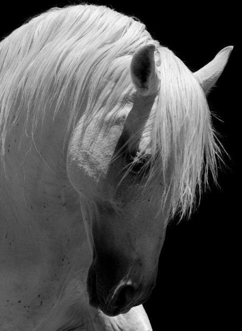 homme mon reflet contactez moi