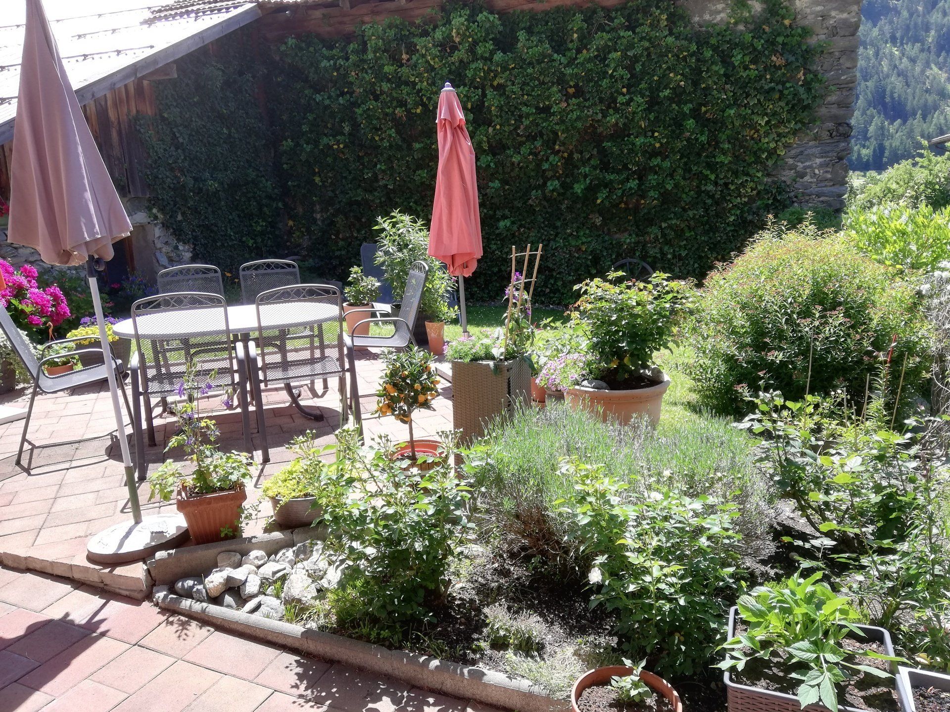 Terasse und Garten
