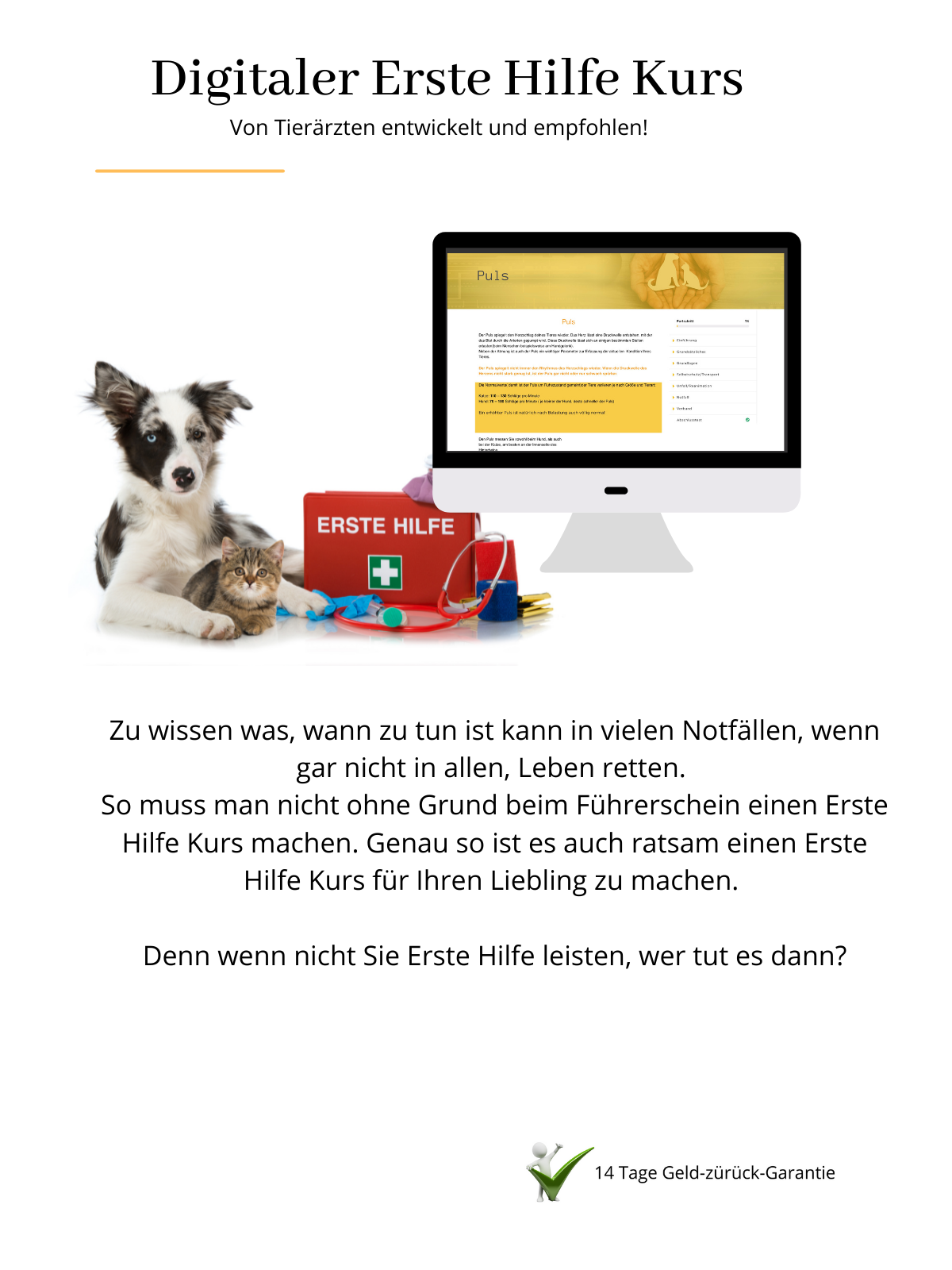 1. Hilfe Kurs am Hund in Dresden
