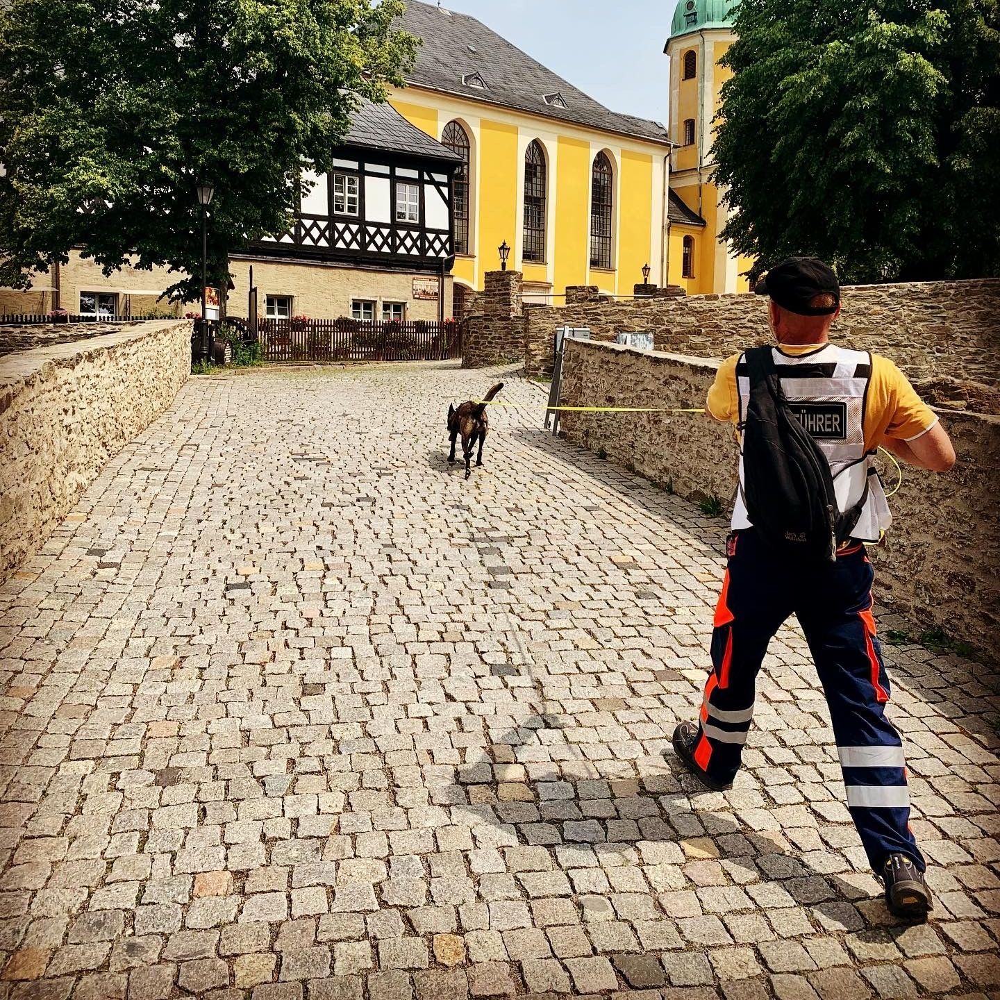 Mantrailingausbildung in Dresden