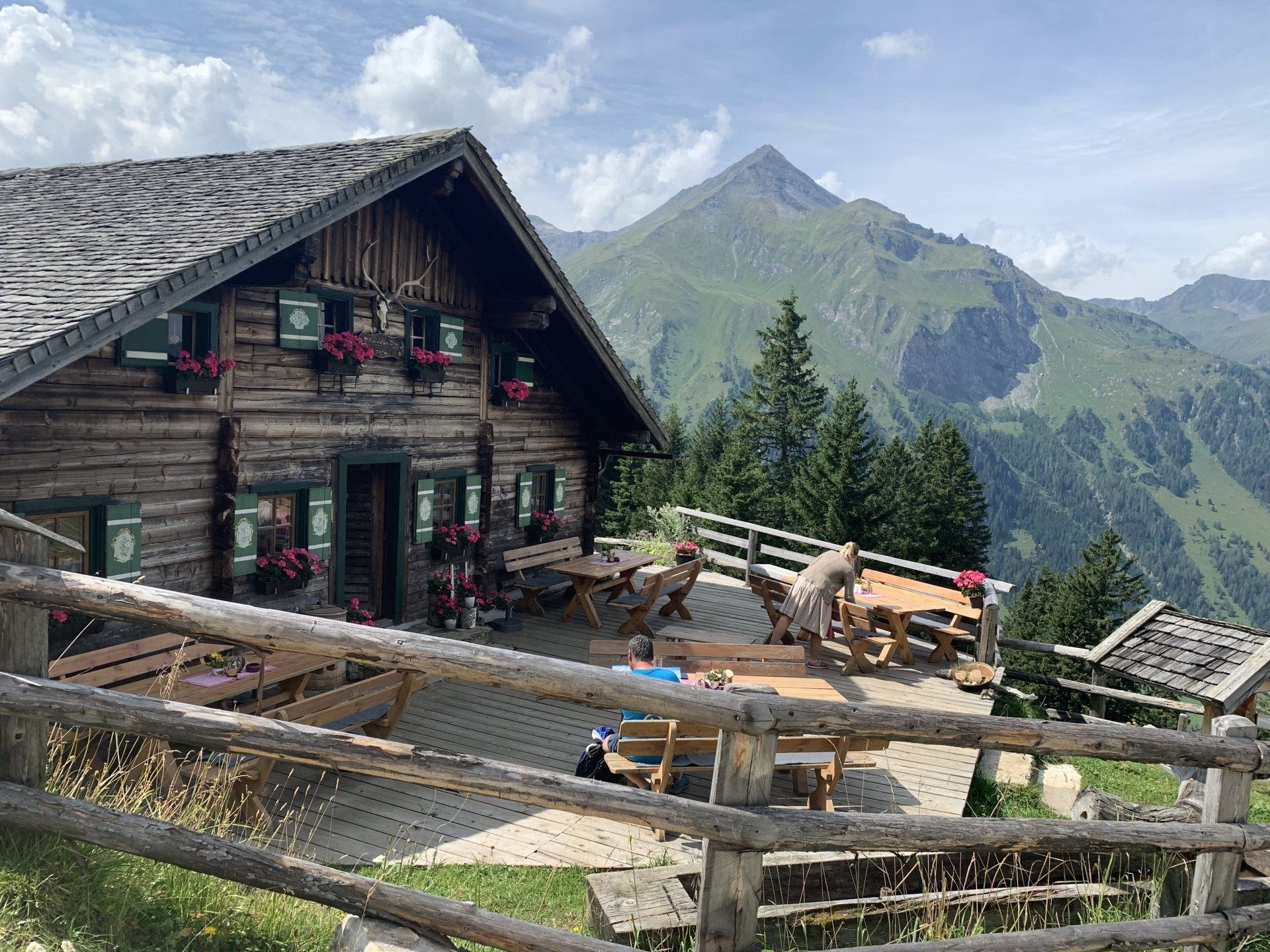 Mantrailing und Wandern mit dem Team von Dogs-n-Joy