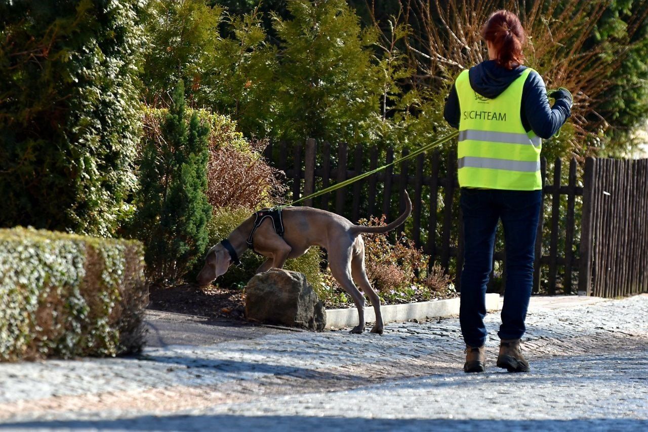 Mantrailing Ausbildung zum Suchhund in Sachsen