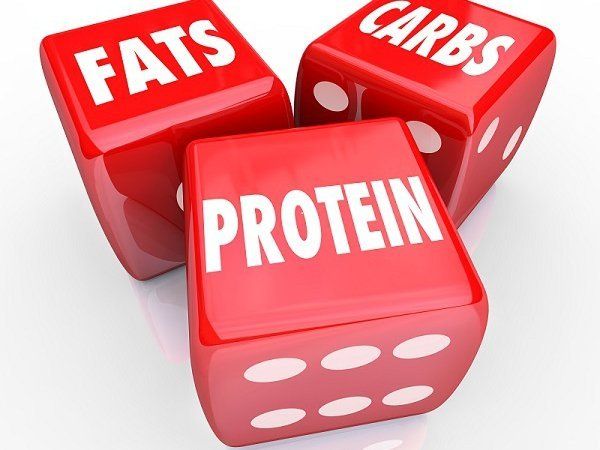 fats protein and carbs