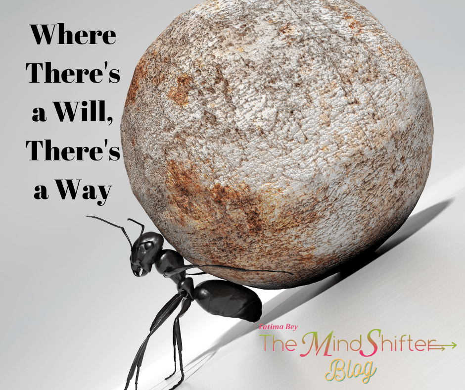 Ant pushing a heavy rock uphill. “Where There’s a Will, There’s a Way” from The MindShifter Blog—symbol of grit and determination.