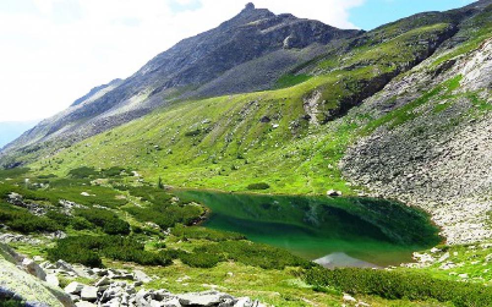 sommerfrische, nationalpark hohe tauern, kärnten, osttirol, österreich Natur Aktiv Hotel Tauernstern-Mölltaler Gletscher-Erlebnis 3000