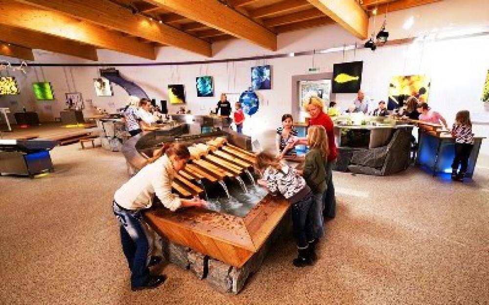 sommerfrische, nationalpark hohe tauern, kärnten, osttirol, österreich Natur Aktiv Hotel Tauernstern-Nationalparkzentrum Mallnitz