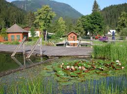 sommerfrische, nationalpark hohe tauern, kärnten, osttirol, österreich Natur Aktiv Hotel Tauernstern-Naturschwimmbad Waldbad Mauthen