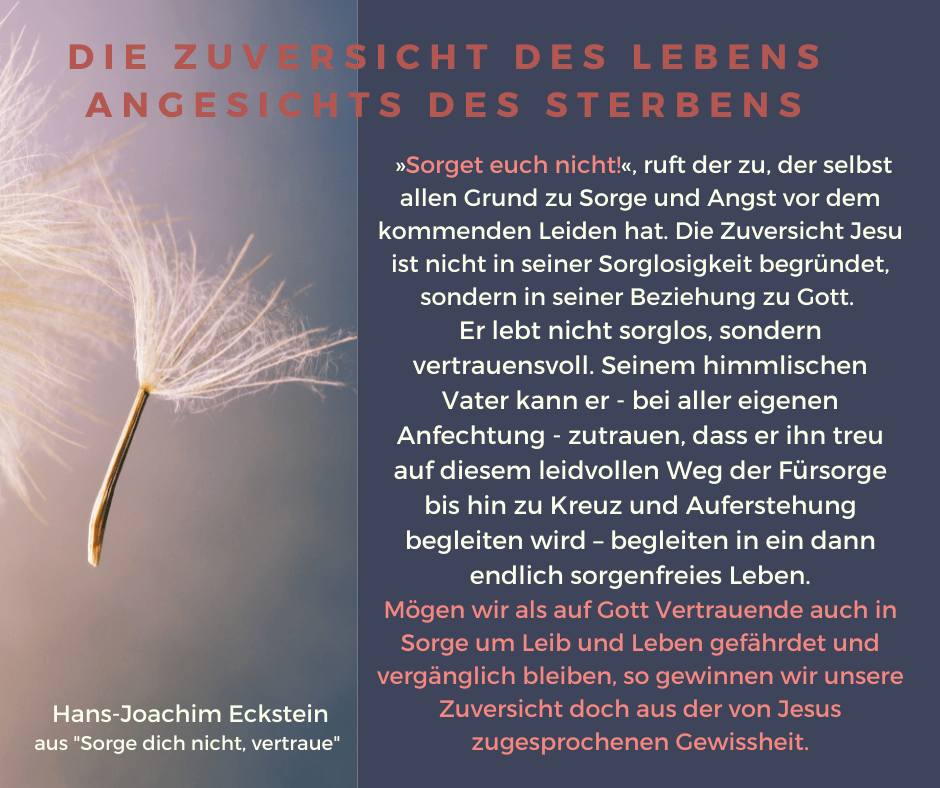 Zuversicht-des-Lebens, #hansjoachimeckstein, #ecksteinhansjoachim, #ecksteinproduction