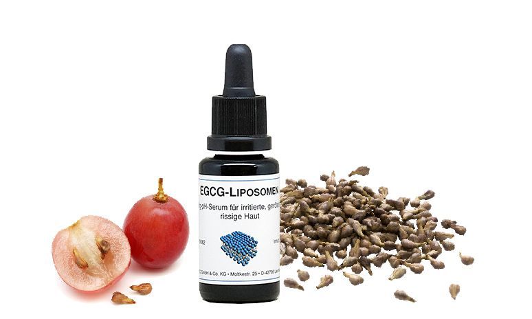 EGCG Liposomen