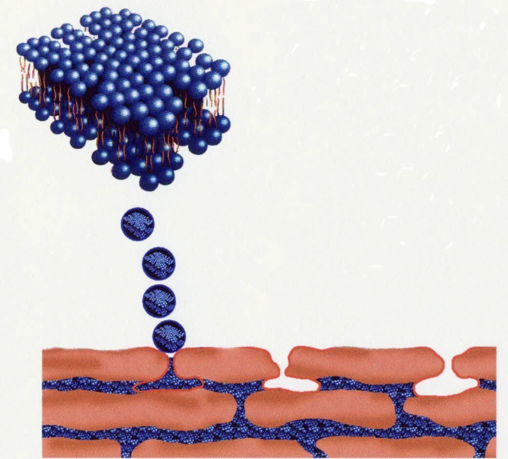 DMS Creme Kosmetikstudio Kladow