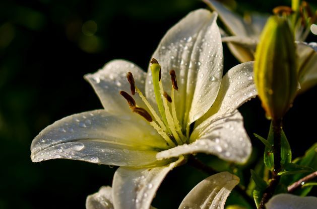 Körpergesundheit Kosmetikstudio Kladow