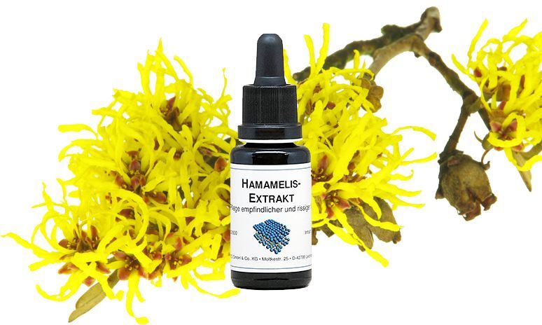 Kigelia-Liposomen Hamamelis