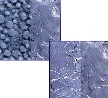 DMS-Aufbau - Kosmetikstudio Kladow