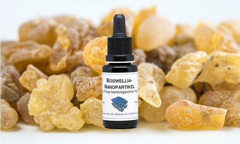 Nanopartikel stabilisieren den Weihrauch-Extrakt (Boswellia serrata) in hoher Dosierung und transportieren den Wirkstoff in die Haut. Weihrauch-Extrakt hemmt Proteasen sowie die 5-Lipoxygenase, ein Schlüsselenzym bei Entzündungsprozessen. In Nanopartikeln verpackter Weihrauchextrakt wird daher nicht nur zur Antiaging-Pflege, sondern auch zur begleitenden Hautpflege bei entzündlichen Hauterkrankungen und speziell bei aktinischen Keratosen eingesetzt. Phytosterine unterstützen die Pflege barrieregestörter Haut. Bosweillia