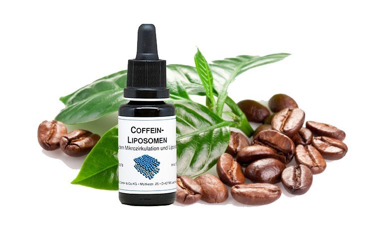 Coffein Liposomen