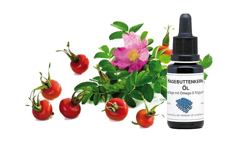Hagebuttenkernöl