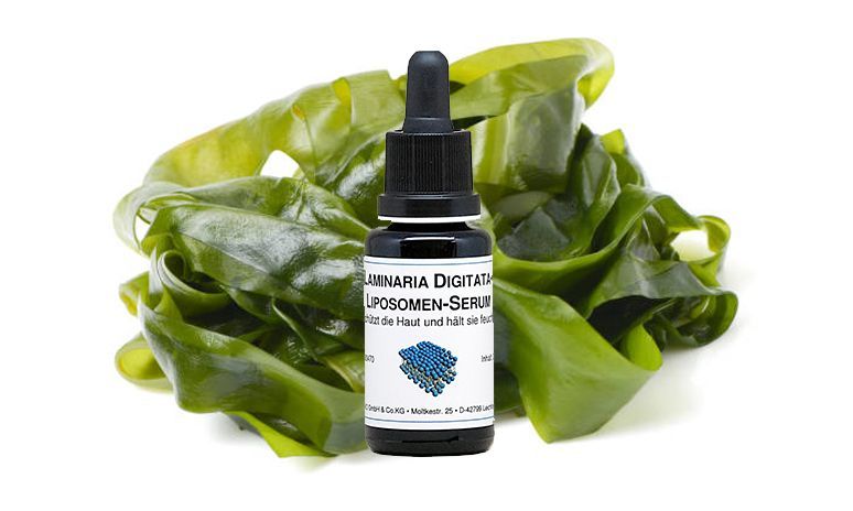 Lamoinaria Digita Liposomen Serum