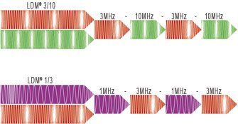 LDM
