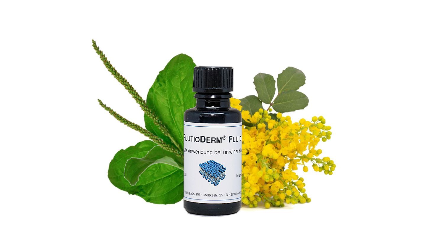 Liposomen Konzentrat Plus