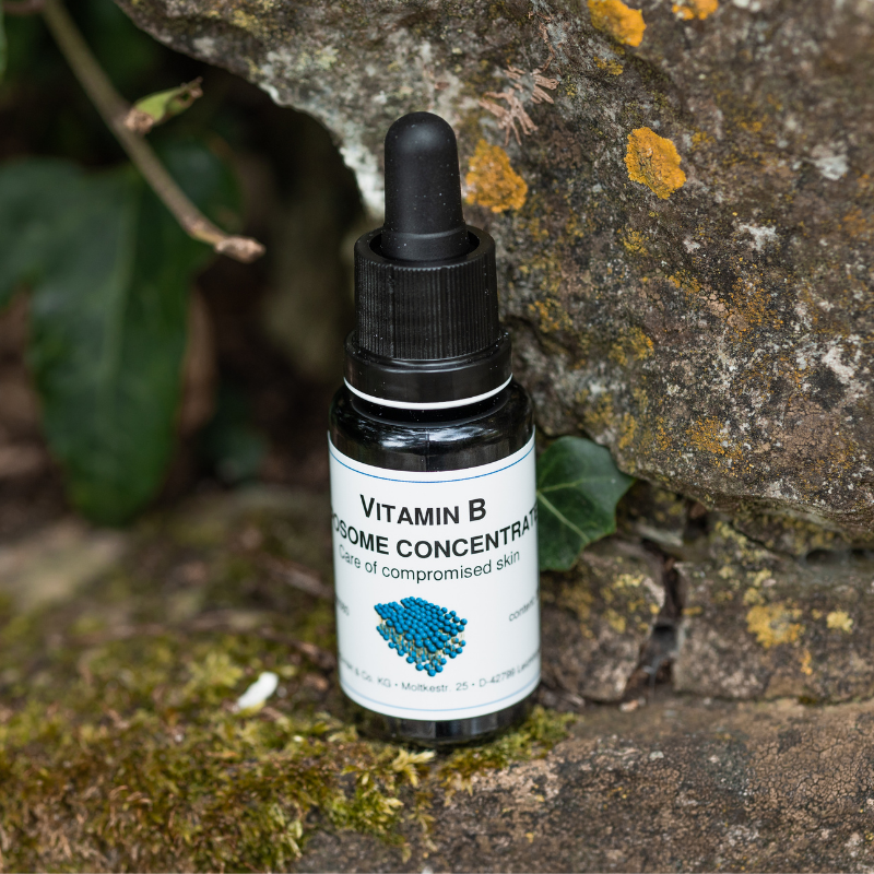 Vitamin-B-Liposomen Konzentrat