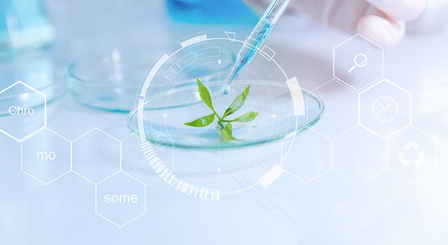 DMC - Ohne Parabene und PEGs