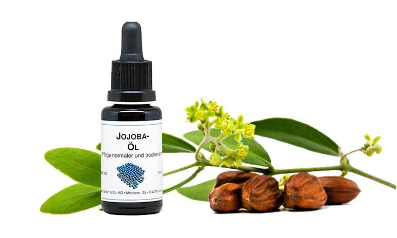 Jojoba-Öl