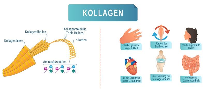 Kollagen Kosmetikstudio Kladow