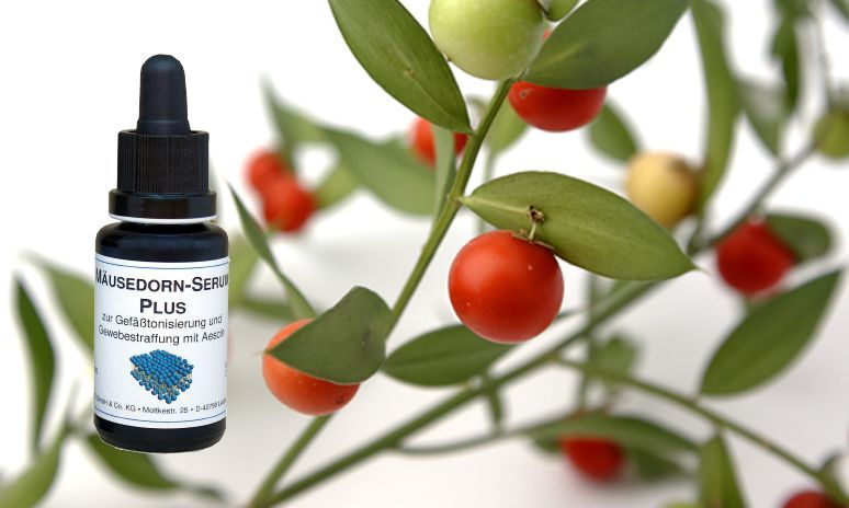 Mäusedorn Serum Plus