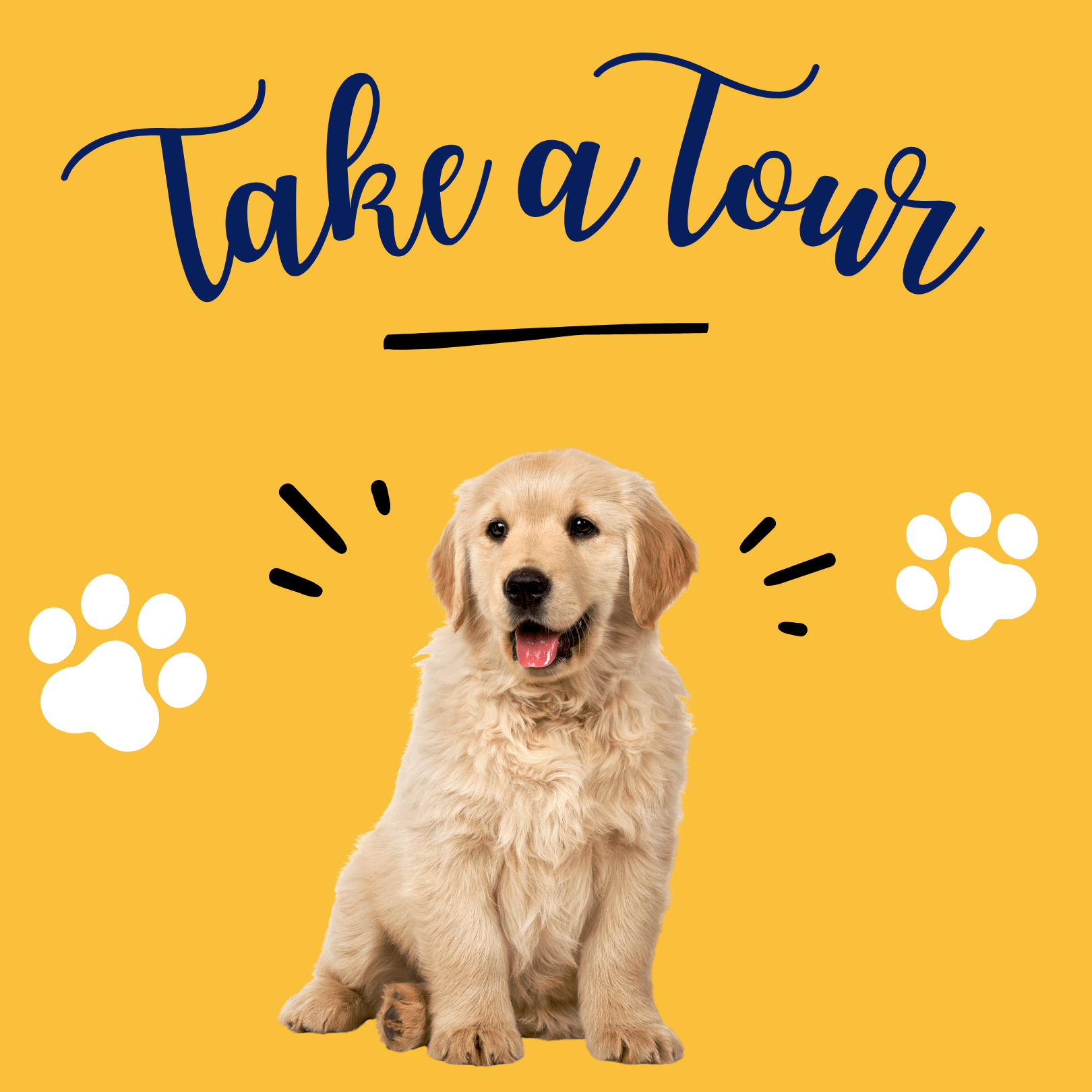 Take a tour of our premier K9 resort.