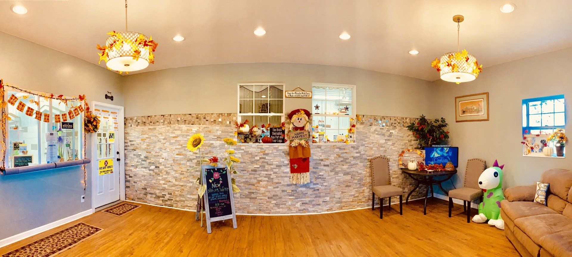 Golden Paws lobby area, a home away from home with a truly pawsitive experience for every K9.