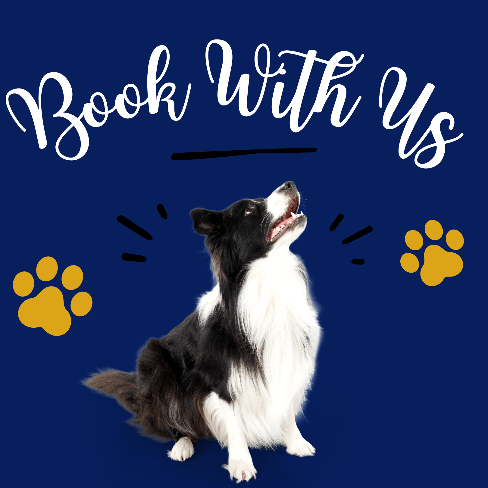 Book dog boarding at Golden Paws Pet Care Services, LLC in our dog kennels or luxury dog boarding suites