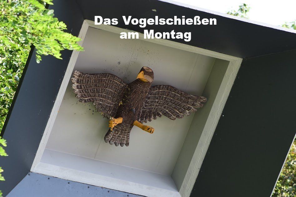 Galerie - Schützenfest 2017 - Das Vogelschießen am Montag