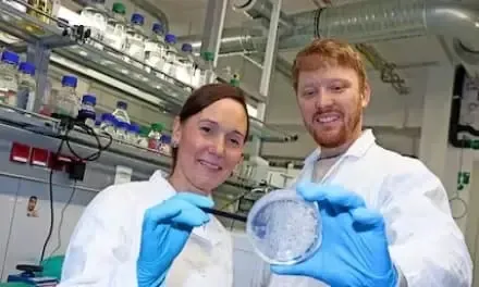 Venture Capital Investment Phaeosynt