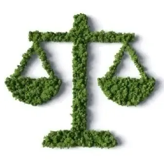 eine Waage aus grünen Blättern geformt symbolisiert das Thema Verglei