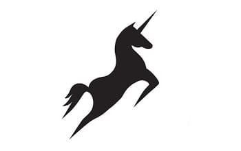 Venture Capital Investments von Capacura