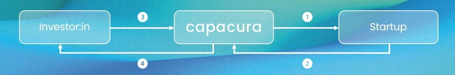 der Ablauf wie capacura in Startups investiert