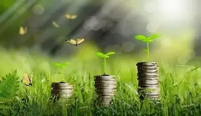 Grüne Tagesgeldkonten gelten als nachhaltig und sind ein grünes Investment.