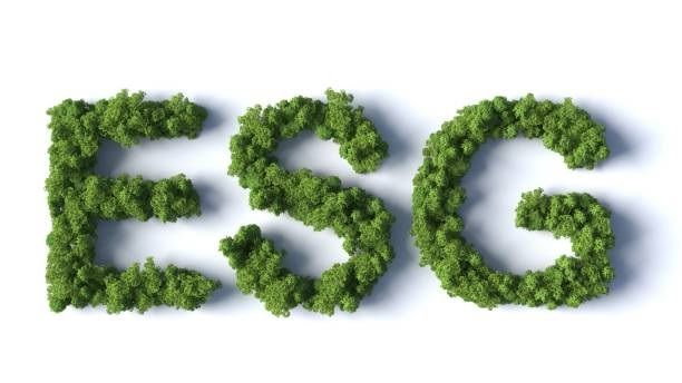ESG Nachhaltigkeit Definition und Abkürzung
