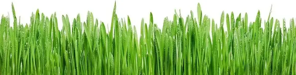 fingreen.de ist die beste Website um in grüne und nachhaltige Geldanlagen wie Aktien, ETFs und Fonds zu investieren.