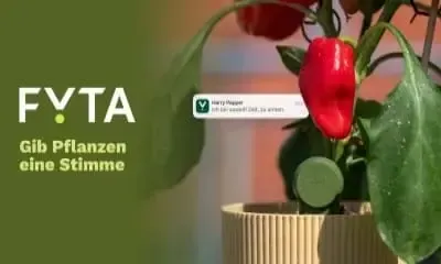 Grün und nachhaltig investieren.