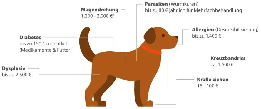 Die Skizze eines Hundes mit den verschiedenen Körperbereichen zeigt die mögliche Krankheiten von Hunden.