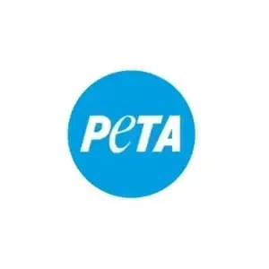 fingreen.de ist die beste Website um in grüne Aktien und nachhaltige ETFs zu investieren.